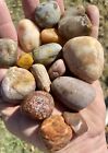 8  Lbs Tx River Rock  chert-pet Wood-jasper-quartz-agate-tumbling lapidary decor