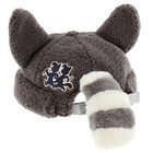 Tokyo Disney Peter Pan Lost Boys Curly Racoon Ear Bucket Hat - From California