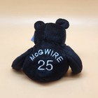 Salvino s Bammers Mark Mcgwire 25 Nl Hr Champ Black Bear Plush Toy Baseball Mlb
