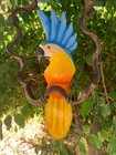 Handcrafted Wooden Blue   Green Cockatoo Hanging Statues 12 in  Set Of 2
