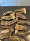 12 xlarge Naturally Dried  Chunky Pumpkin Stems 4  To 8   fall halloween crafts