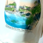 San Antonio Japanese Tea Garden Tx Texas Antique Souvenir China Trinket Creamer