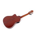 Lucero Lc150sce Nylonstring Classical Ae Guitar Natural 197881449940 Ob