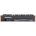 Dave Smith Instruments Sequential Prophet-6 Module