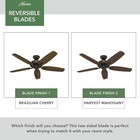 Hunter Fan 52 Inch In New Bronze Indoor Ceiling Fan With Pull Chain And No Light