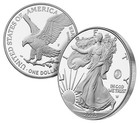 2025-p Marine Privy American Silver Eagle  1 Ase Ogp And Coa - 250th Anniversary