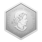 2023 Canadian  20 Crystal Snowflake 1 Oz Pure Silver Reverse Proof Coin