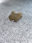 Vintage Felt Walrus
