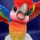 Furreal Friends Tropical Talking Parrot Interactive Plush Toy Works