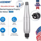 Premium Plus Dental Hygiene Prophy Handpiece Air Motor 4 Holes   4 1 Nose Cone