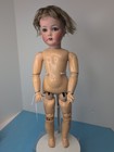 20    Antique German Cuno  Otto   Dressel Bisque Cod Doll Bl Eyes Compo   Outfit L