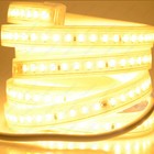 Super-bright Led Flexible Light Strip Smd 5630 Leds Waterproof Plug Lamp String