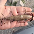 Vintage Wooden Possible Winchester 5 Hooks Original Lure
