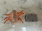 Hexbug Scarab   Hexbug Micro Titans Remote Control  Parts Only   Please Read