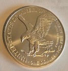 2023 Silver American Eagle 1 Oz   Silver Uncertified Bu Free Shipping