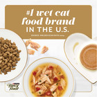 2 Pack Purina Fancy Feast Gems Mousse Pate Wet Cat Food Variety Pack  2 Oz Tubs