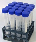  Plastic Rack   10 15 Ml 18 Mm Centrifuge Test Tube Set W Stand Kids Science Kit