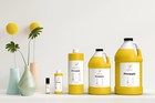 Pineapple Fragrance Oil For Candle  Soap Making Incense Burner Pure 100  Grade