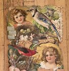 1905 Victorian Die-cut Children   Birds Illustrated Wall Display Calendar