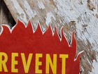 Vintage Smokey Bear Porcelain Sign Old Forest Service National Park Prevent Fire