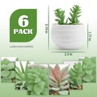 Der Rose Set Of 6 Succulents Plants Artificial In Pots Small Fake Plants For
