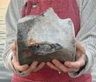Huge Aurora Fossil Whale Vertebra   Megalodon Food  Lee Creek North Carolina