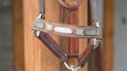 Vintage Macpherson Los Angeles Sterling Silver Show Halter   Matching Lead Shank