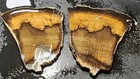 Stinkingwater Pass Petrified Wood Oak Matching Pair Slabs Unpolished R166