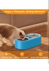 Heated Water Bowl For Dog   Cat  Outdoor Heated Dog Bowl
