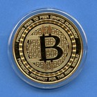 Anonymous Bitcoin 1oz Silver Proof Guardian 24k Gold Finish Limited Edition  84