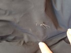 Ubr Titan Down Parka In Xxl - Defect