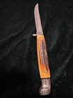 1977 Case Xx Usa Blue Scroll M5f Trout Knife