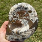 Huge Ammonite Fossil Bowl Polished Nautilus Shell