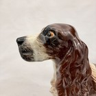 Goebel English Springer Spaniel Lrg 9   Figurine 1973 Brown   White Dog Figurine