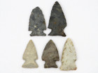 5pc Lot Of Notched Indian Arrowhead - Authentic W Great Colors  