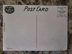 Lance Mountain Artwork Jeff Grosso Anti-hero Skateboards Post Card