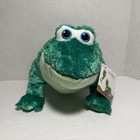 Its Mine Frog Stuffed Animal Plush Kohls  Cares     Leo Lionni     With Tag
