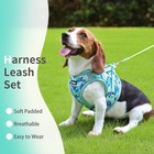 Step In Dog Harness With Leash Set  Adjustable Soft Padded And Breathable Mesh