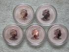 2024 Australian Silver Lunar Dragon Series Iii Colorized 1 2 Oz  5 Coin Set 