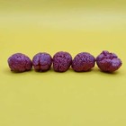 Human Brain  1 12 Scale Dioramas  Horror  Action Figure Board Game Accessories