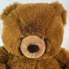 Vtg Fao Schwarz Large 20  Teddy Bear Super Soft Plush Stuffed Animal Nyc Store