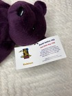 Vintage 1998 Salvino   s Bamm Beano   s - David Justice  23 Bear Mlb W  Tags