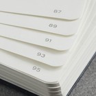 Leuchtturm1917 -hardcover Medium A5-251 Numbered  Dusty Rose Blank Notebook New