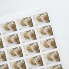 2011 Usps Forever Stamps Wedding White Rose 5 Sheets Of 20   100 Total