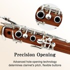 Bb Key 17 Key Professional Clarinet Rosewood Wooden Body Silver Plated New