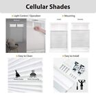 Snow Drift Top Down Bottom Up Cordless Light Filtering Cellular Shades - 26 In 
