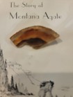 Vintage Trader Gil s Livingston Montana Agate Souvenir Booklet Brochure 1950s