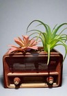 Vintage Radio Planter For Catus Or Succulents