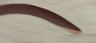 Antique Australian Aboriginal Wood Boomerang  19 5 