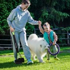 Ipetba Large Dog Pooper Scooper For Yard - 32  Long Handle  No Bending  Green